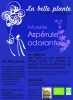 Infusettes Aspérule Odorante Trouble du sommeil 40g - La Belle Plante