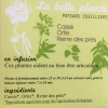 Infusion Articulation 40 gr - La Belle Plante